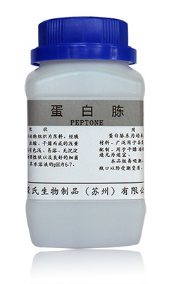 蛋白胨